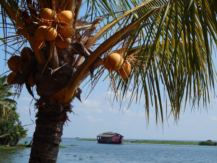 Houseboat Kumarakom