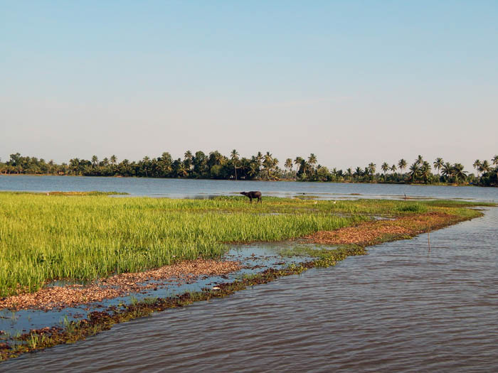 Kumarakom