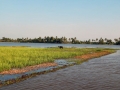Kumarakom